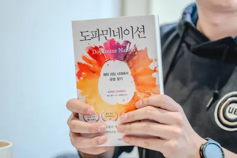 도파미네이션