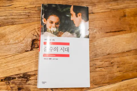 순수의 시대