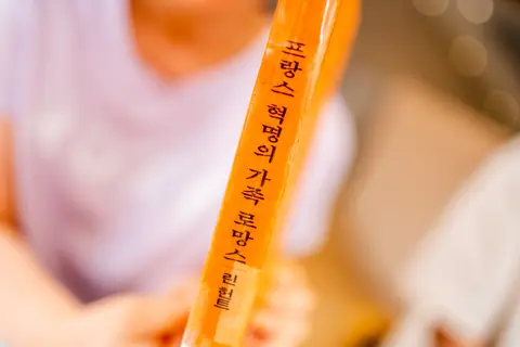 프랑스 혁명의 가족 로망스