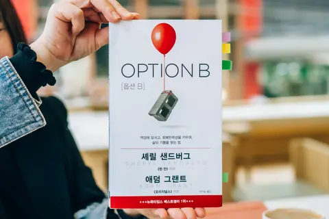 옵션B