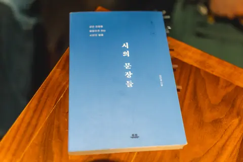 시의 문장들