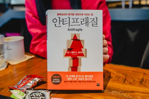 안티프래질