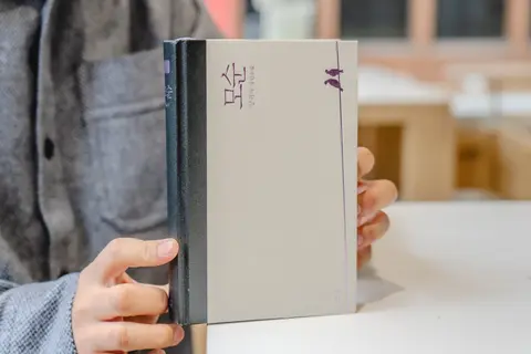 모순